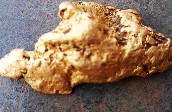 Pepita de ouro de R$ 112 mil achada em buraco de tatu preocupa cidade