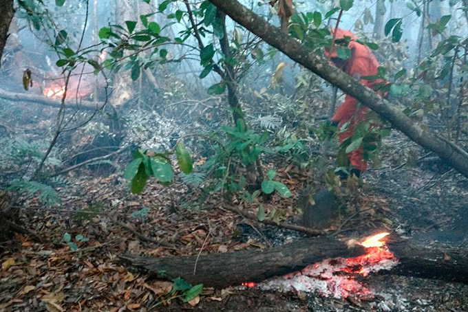 Incêndio volta a atingir área de vegetação em Barra do Jacuípe