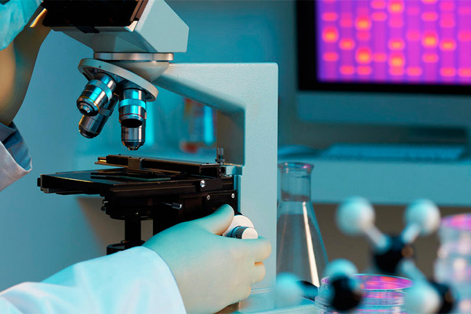 Cientistas descobrem novo órgão no corpo humano