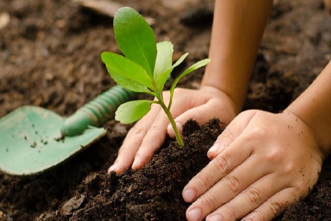 Prefeitura de Dias d’Ávila realiza palestra sobre meio ambiente 