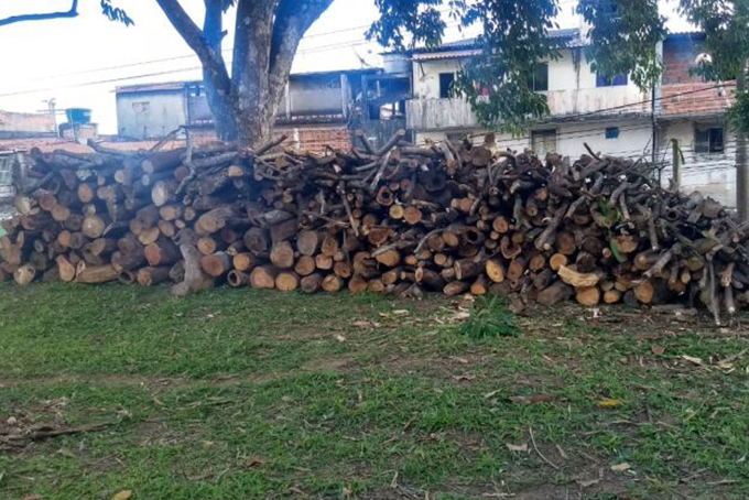 27 fogueiras com madeira irregular são apreendidas na BA-099