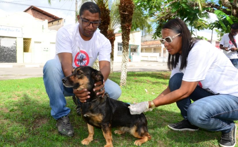 Campanha de vacinação de cães e gato começa nesta terça em Mata