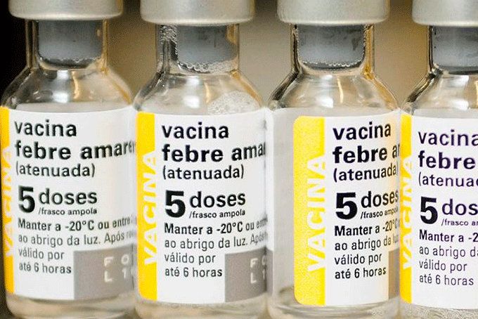 Brasil tem 415 mortes confirmadas por febre amarela