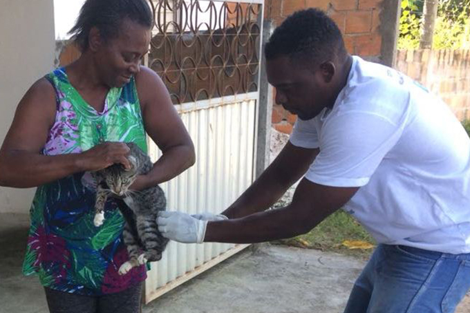 Mais de 6 mil animais já foram vacinados em Mata de São João