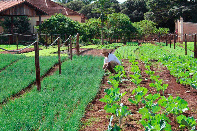 Iº Seminário da Juventude Rural acontece nesta sexta 