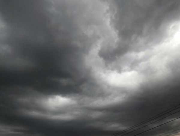 Mata tem previsão de chuva durante todo o dia nesta segunda
