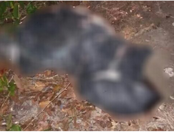 Corpo esquartejado é encontrado dentro de saco plástico em Camaçari