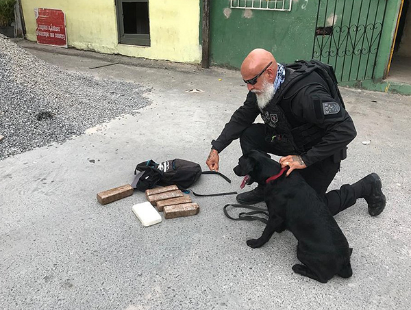 Polícia mata gerente do tráfico de Vila de Abrantes; cães acham 7 kg de cocaína