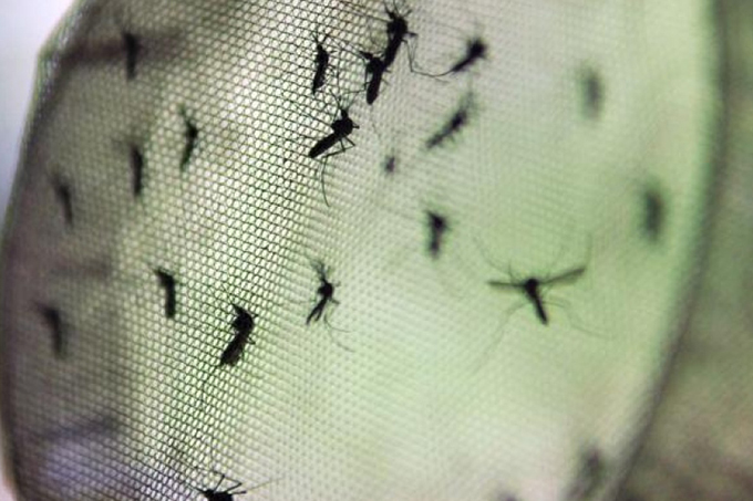 Mais de 250 cidades baianas estão em alerta ou risco de surto de dengue