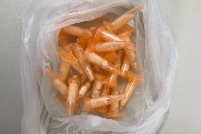 Jovem é preso com 24 pinos de cocaína em Praia do Forte