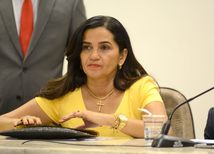  Lulu rebate fala de vereador sobre candidatura em 2020