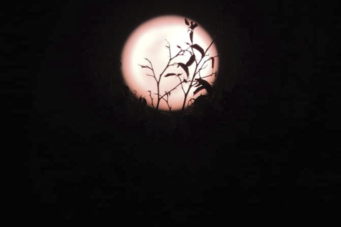 Veja dicas para fotografar a Superlua desta terça-feira