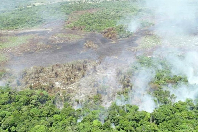 Incêndio atinge vegetação em Trancoso, destino turístico do sul 
