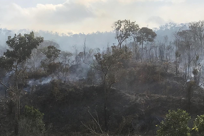 Salvador e Região Metropolitana registram um incêndio a cada três horas