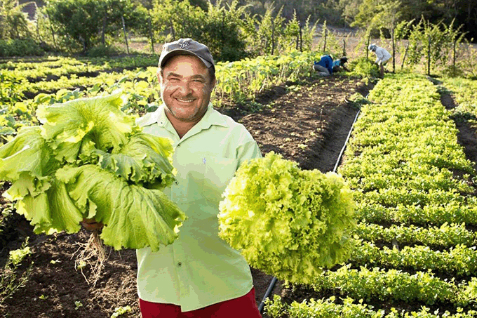 Feira da Agricultura Familiar acontece neste final de semana