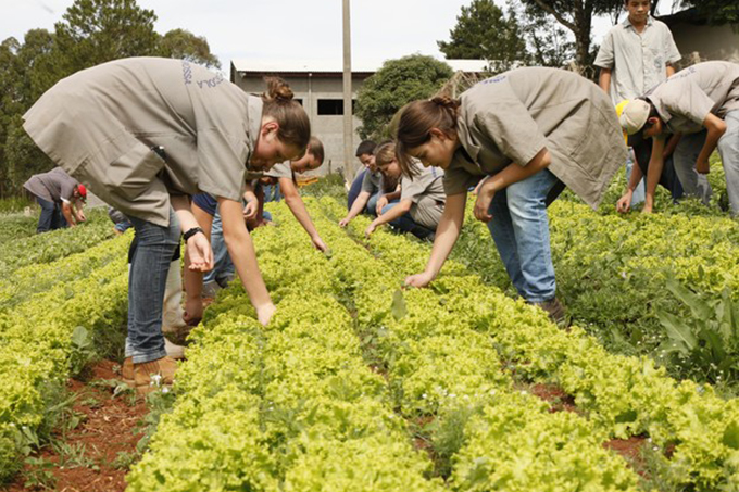 SineBahia abre vaga para técnico agrônomo em Mata de São João