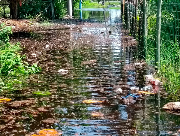 Após chuva, moradores de Imbassaí sofrem com alagamentos