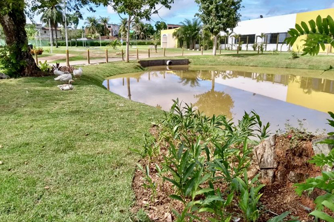 Secretarias promovem revitalização da Lagoa do Parque da Cidade