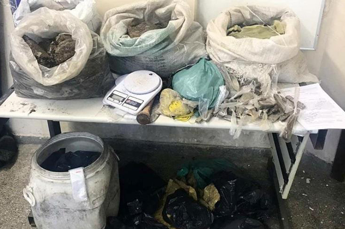 Sessenta quilos de maconha são encontrados enterrados em Vila de Abrantes