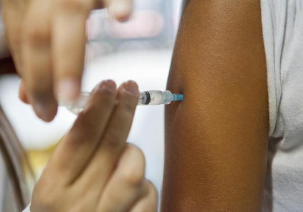 Vacina contra chikungunya já passa por testes em humanos