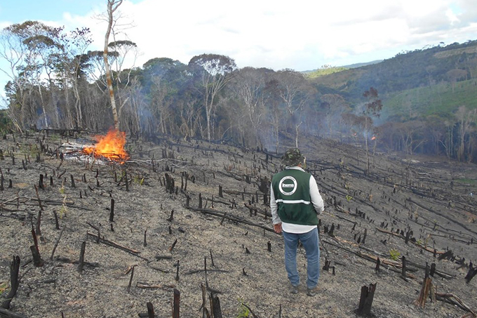 Inema identifica 254 hectares de vegetação desmatada no litoral norte