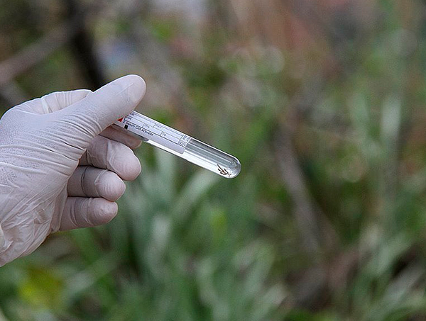 Bahia registra oito casos de dengue por hora; alta de 459% no estado