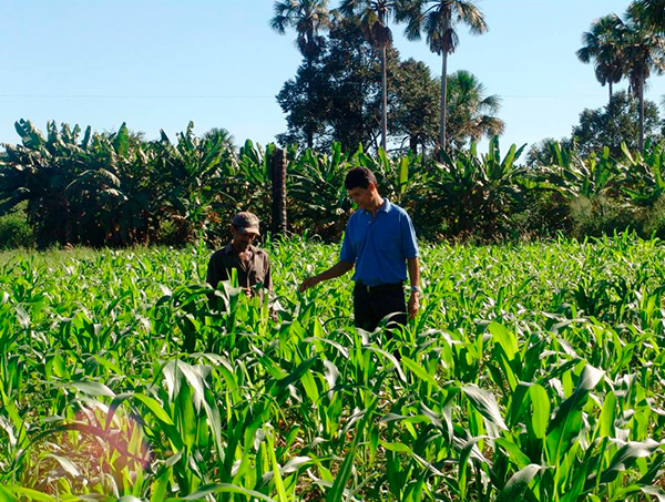Cooperle abre processo seletivo para contratação de Agente Comunitário Rural