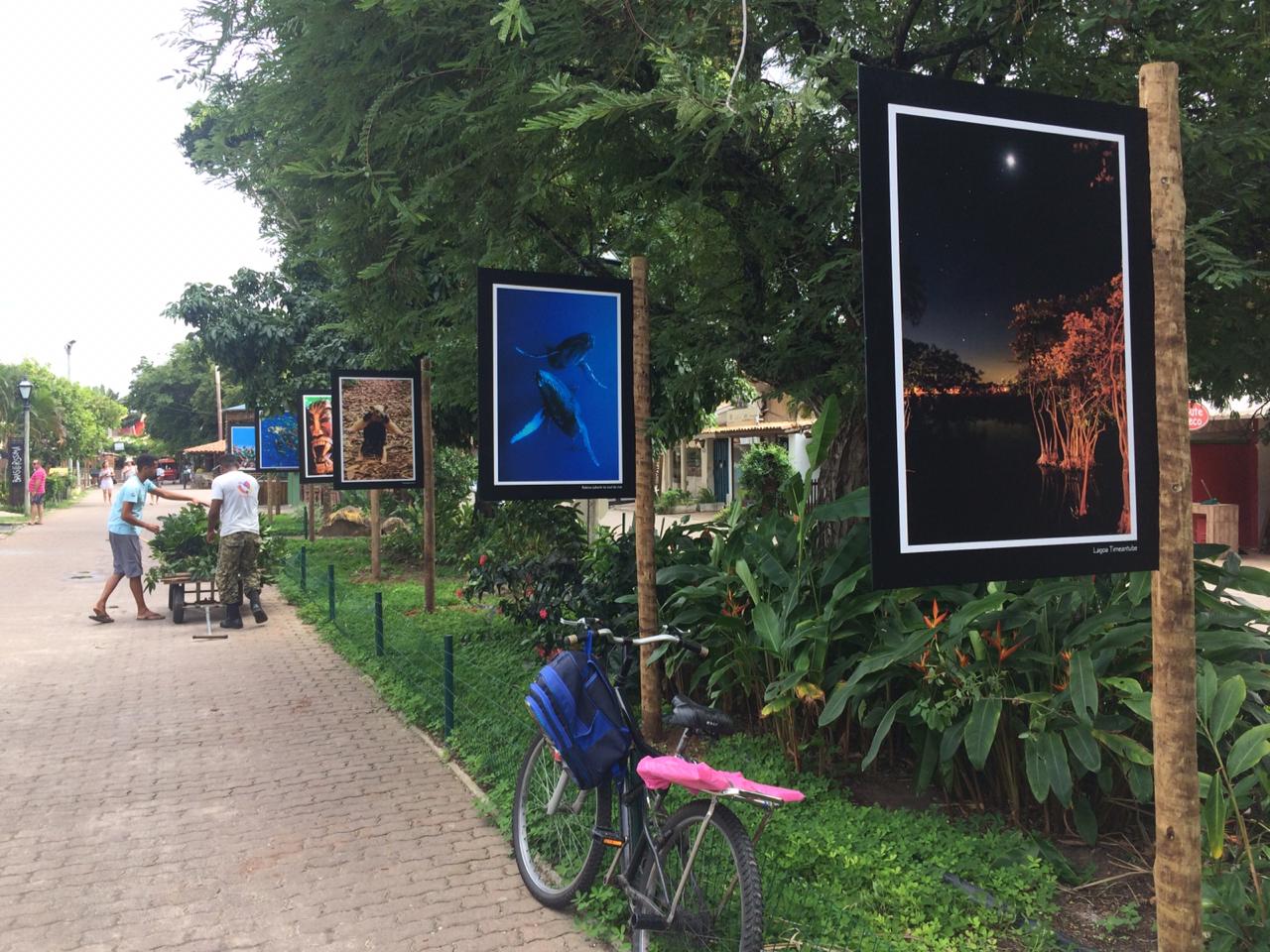 Exposição fotográfica retrata a natureza e a cultura da Praia do Forte