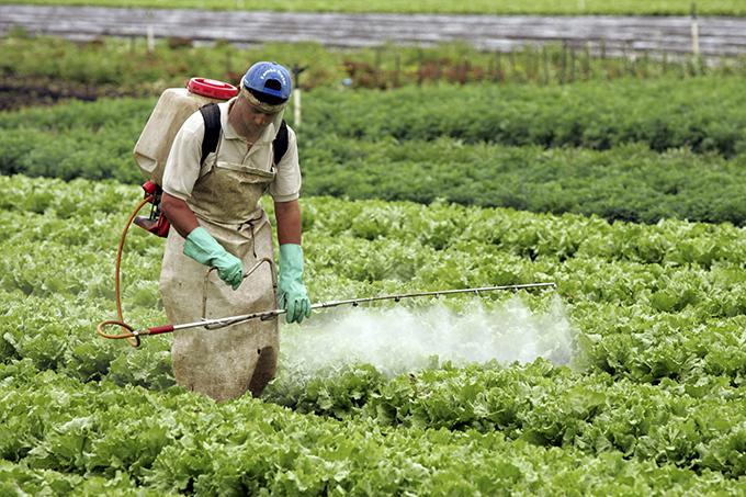 Nova pesquisa acirra polêmica sobre uso de agrotóxicos