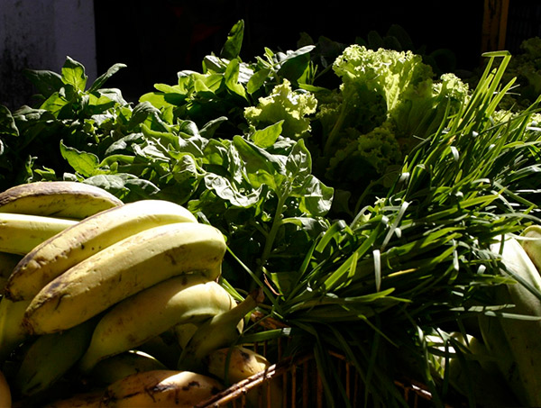 Brasil é o maior consumidor de produtos com agrotóxicos do mundo