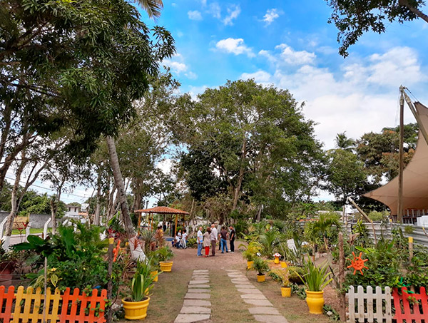 Projeto Cidade das Águas, Cidade das Flores completa 3 anos em Dias d’Ávila