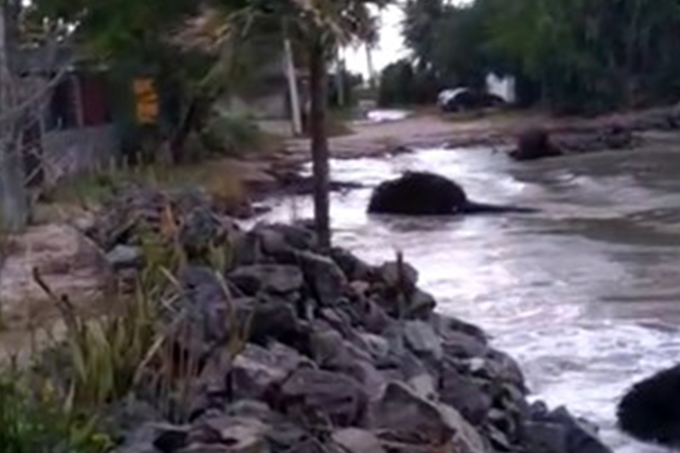 Ressaca do mar destrói barracas em Imbassaí