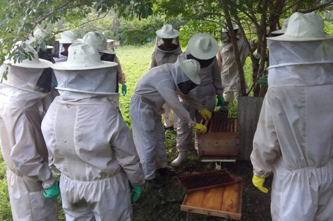 Seagri promove curso de apicultura em parceria com IF Baiano