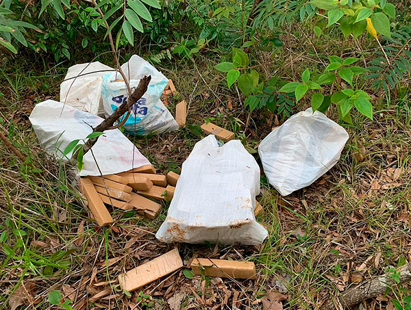 Polícia encontra 150 kg de maconha escondidos dentro de matagal em Simões Filho