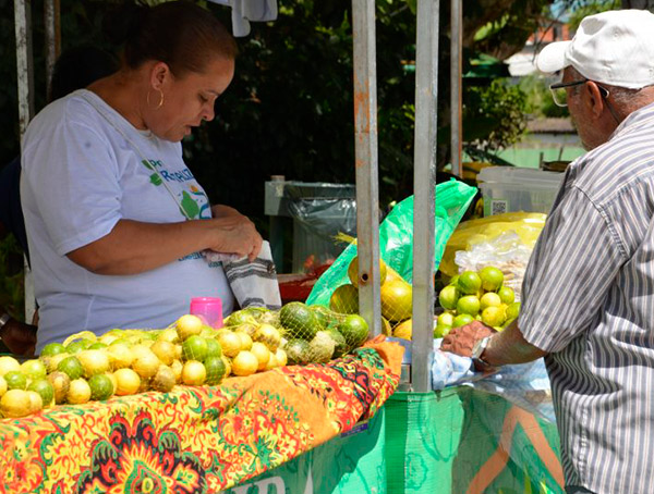 Agricultura Familiar é tema de concurso de redação na Rede Municipal