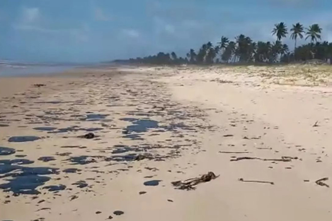 Após manchas de óleo, Projeto Tamar suspende soltura de tartarugas
