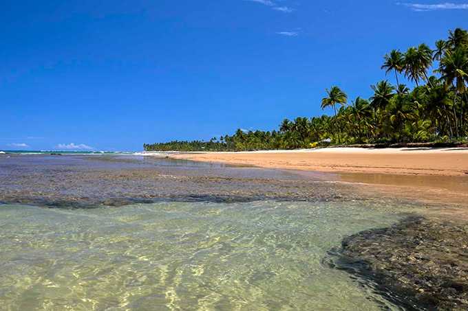 Bahia decreta estado de emergência por manchas de óleo no litoral