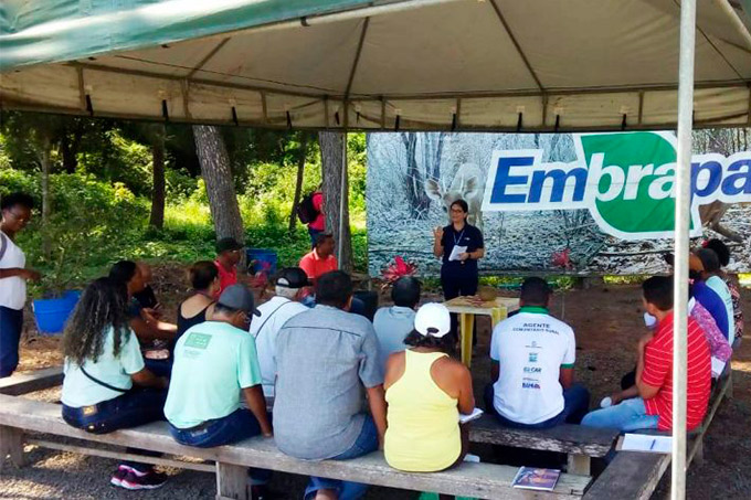 Agricultores recebem curso sobre mandioca na sede da Embrapa