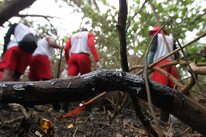 Por dia, Bombeiros retiram três toneladas de óleo das praias do Litoral Norte