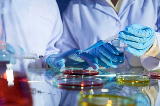 Cientistas descobrem molécula que poderá tratar câncer de ovário