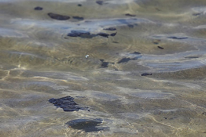 Salvador registra primeiro caso suspeito de intoxicação por óleo nas praias