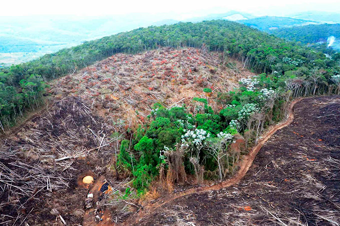 Desmate na Amazônia voltou a subir, apontam dados do Inpe