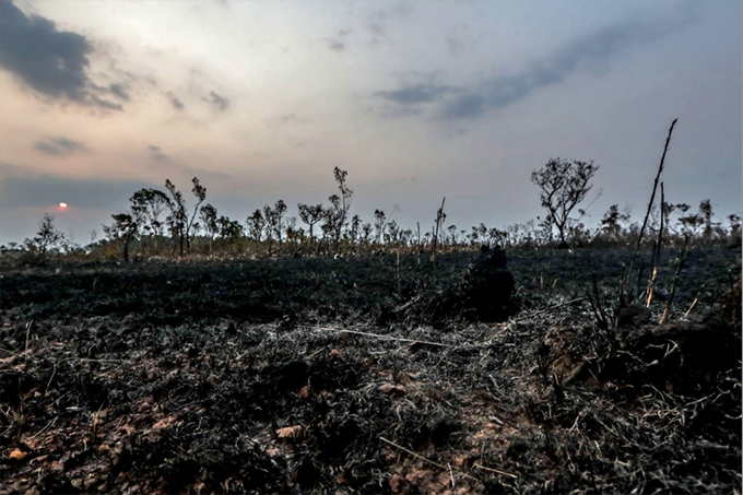 Estudo da Nasa vê Amazônia mais seca e vulnerável