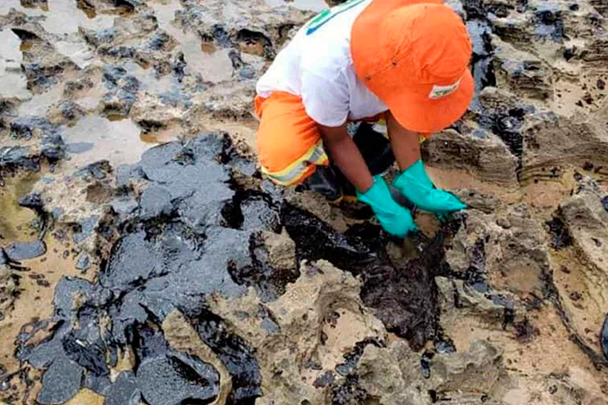 Amostras de peixe apresentam níveis de contaminação por óleo