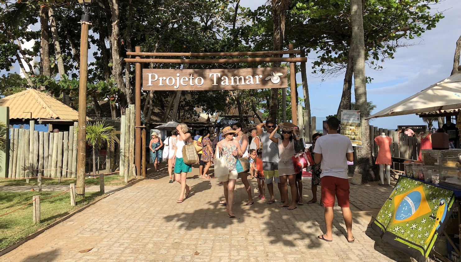 Número de pacotes de viagens para a Bahia cresce 20%, aponta ABAV 