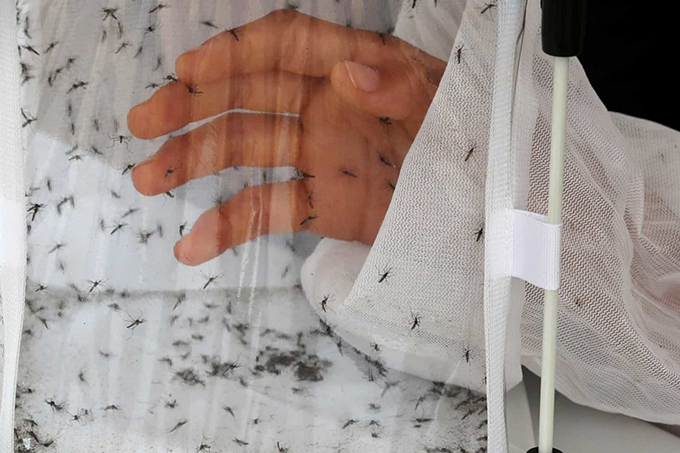 Brasil registra segundo maior número de mortes por dengue em 21 anos