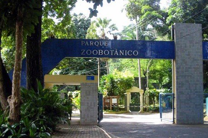 Visitas no zoológico de Salvador podem ser feitas durante a noite