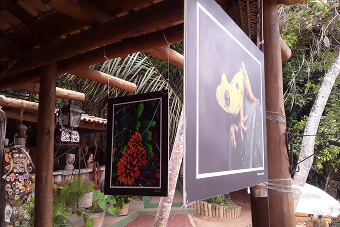 Restaurante Terroir inicia exposição sobre Parque Klaus Peters