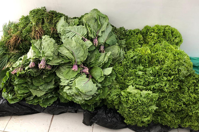Prefeitura realiza a entrega da primeira cesta de alimentos do PAA 