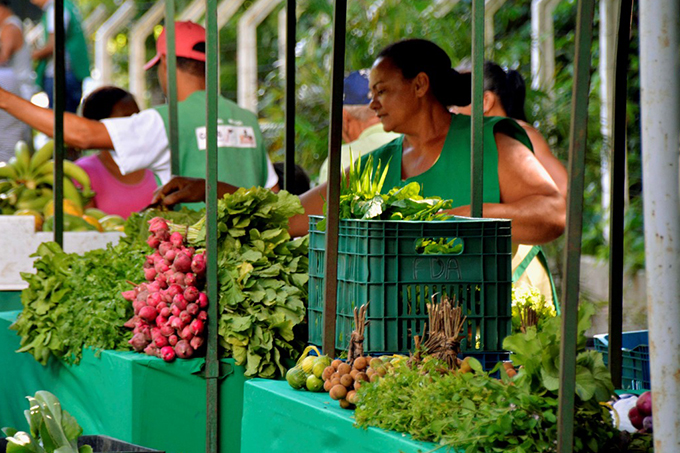 3ª Edição da Feira de Agricultura Familiar tem inicio neste sábado
